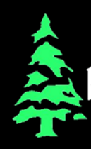 bow_valley_treelogo
